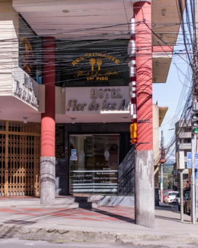 HOTEL FLOR DE LOS ANDES